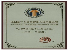 技術創新先進企業（2010年）