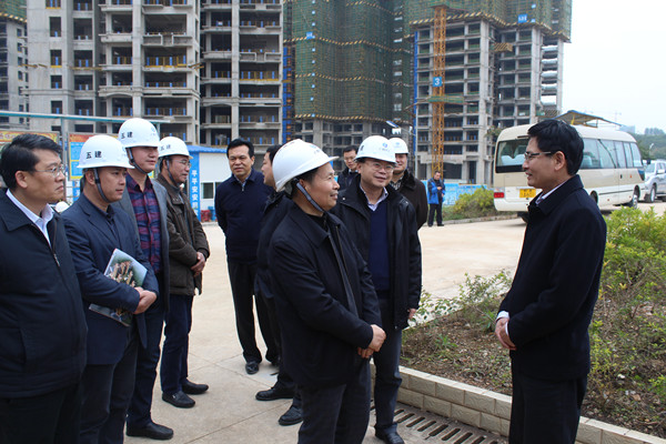自治區黨委常委、區政府副主席藍天立視察公司區保障房項目 